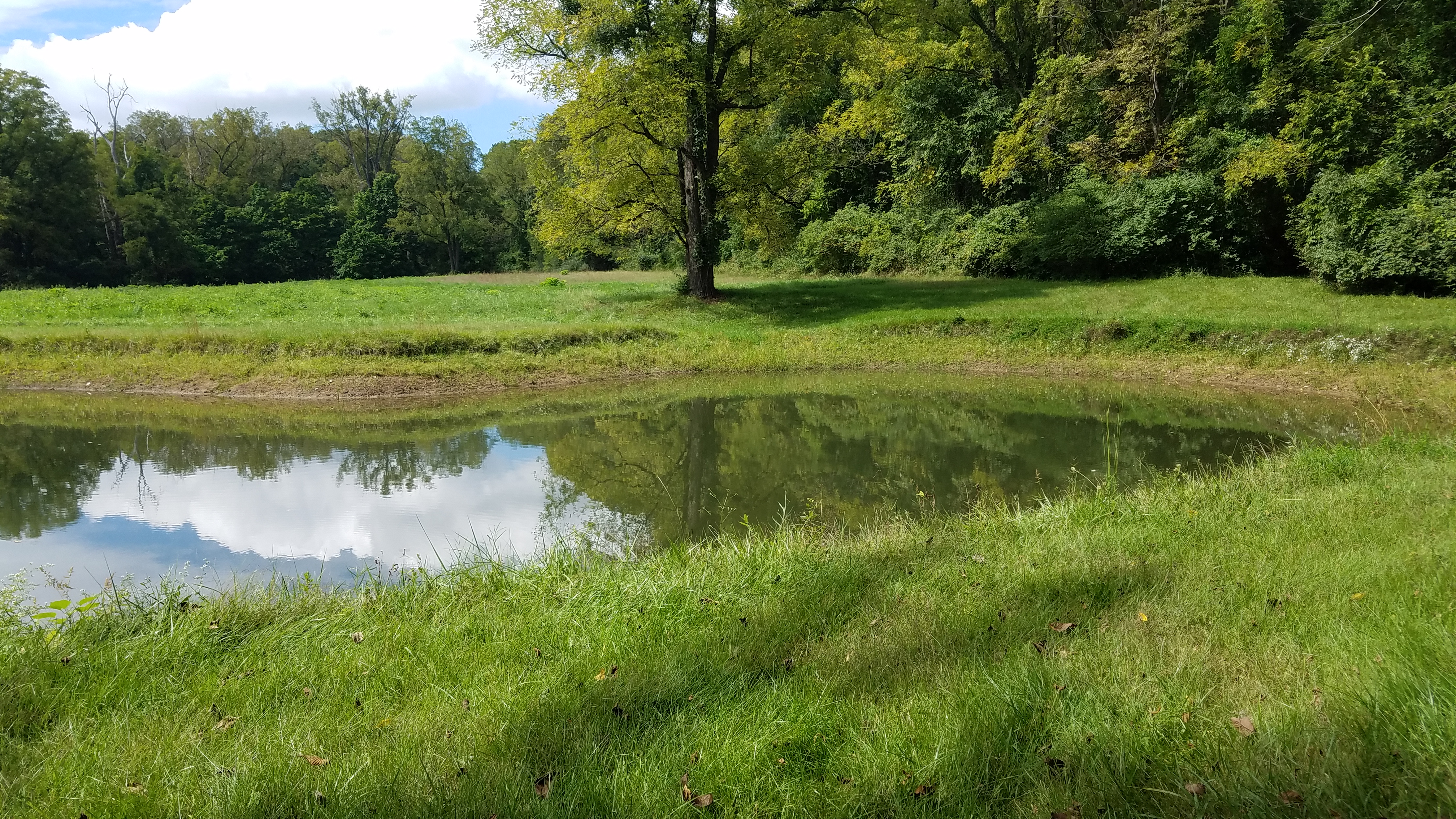 8602 Pilliod pond and pasture